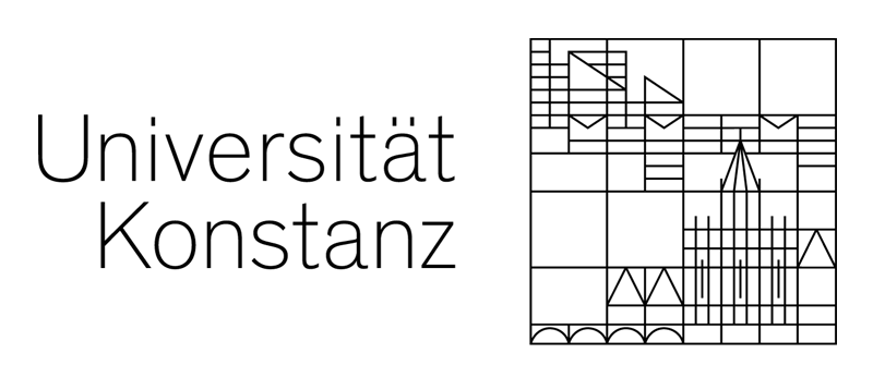 Example Image