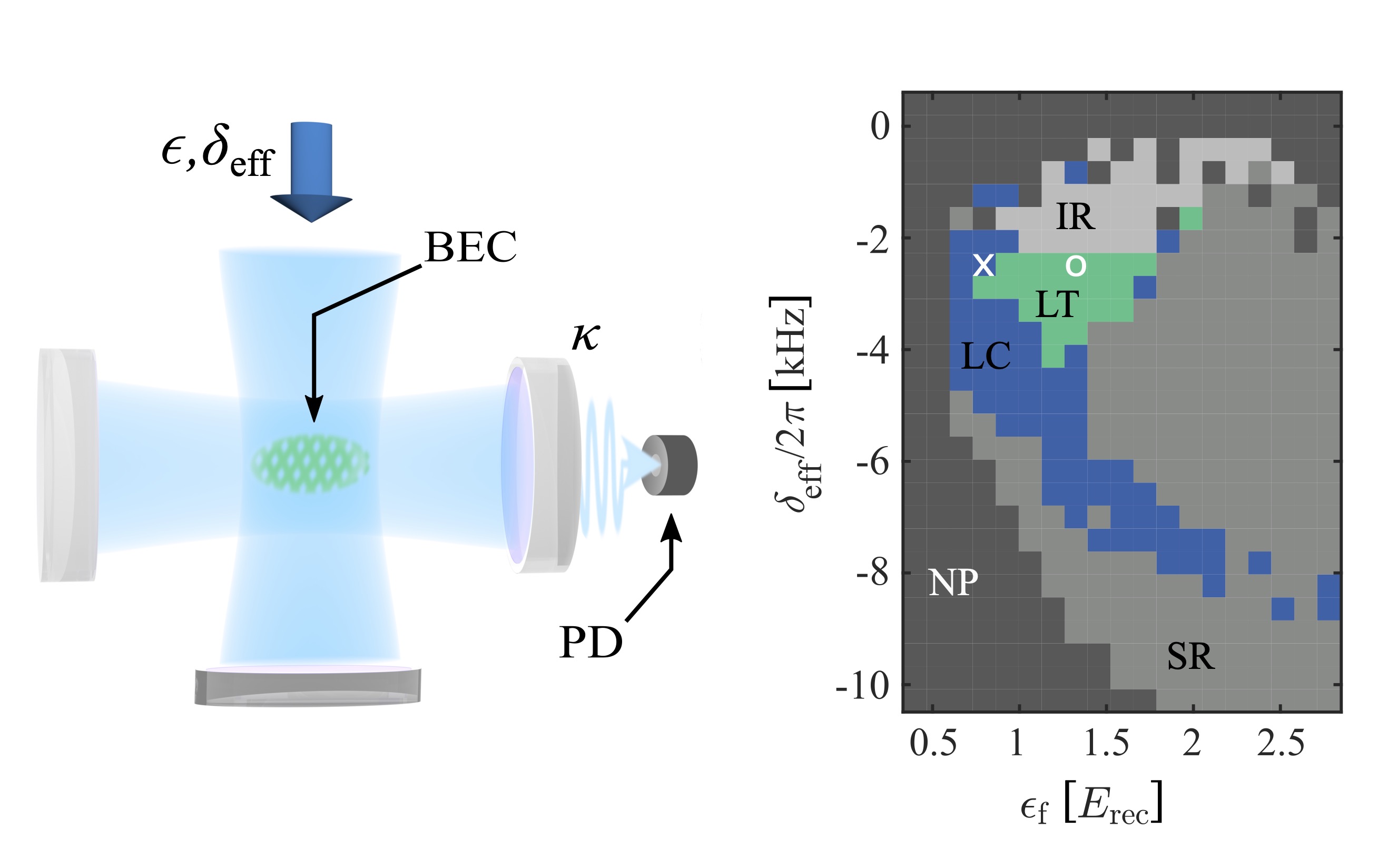 Limit torus in a quantum gas setup